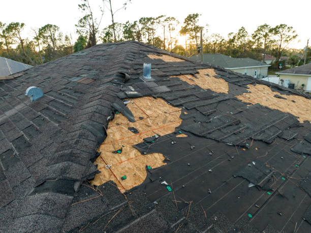 Best Asphalt Shingle Roofing  in USA